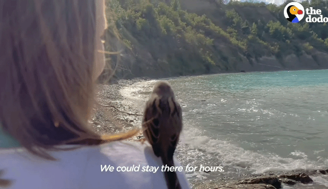 ff14fbd822e3889fcd003df06c1424b41d4ab99a