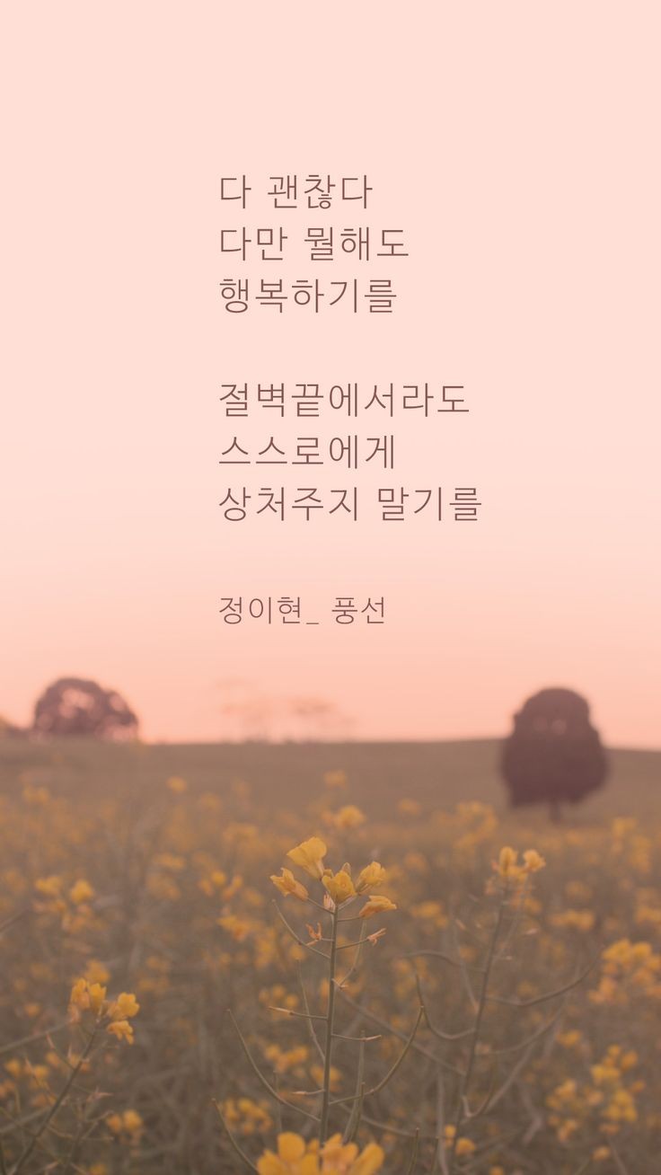 천화 이미지