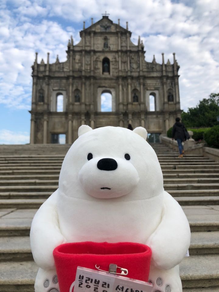 아이스베어 이미지