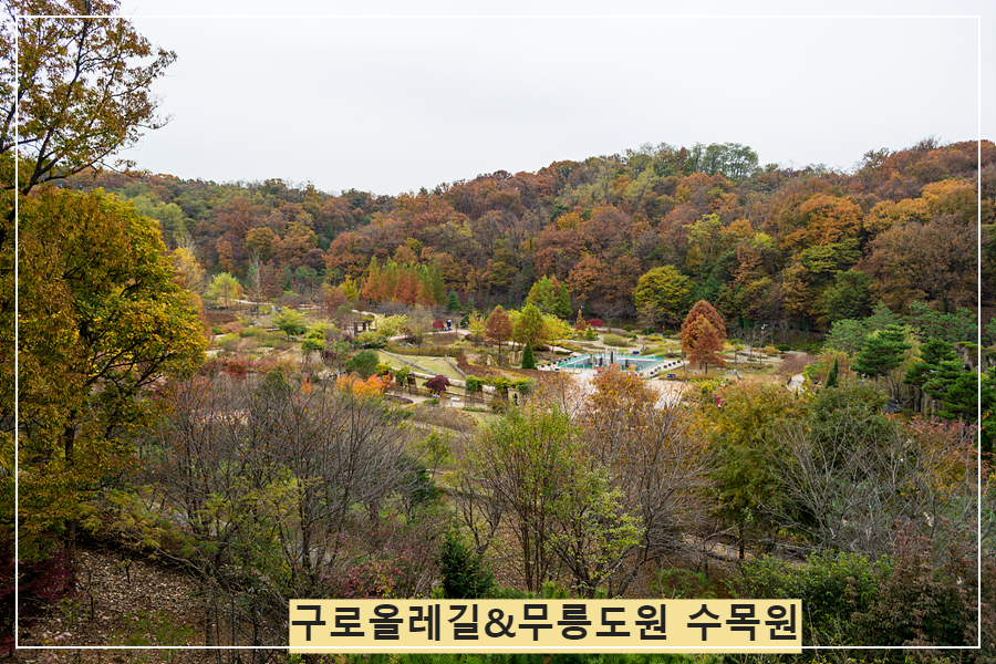 무릉도원올레 이미지