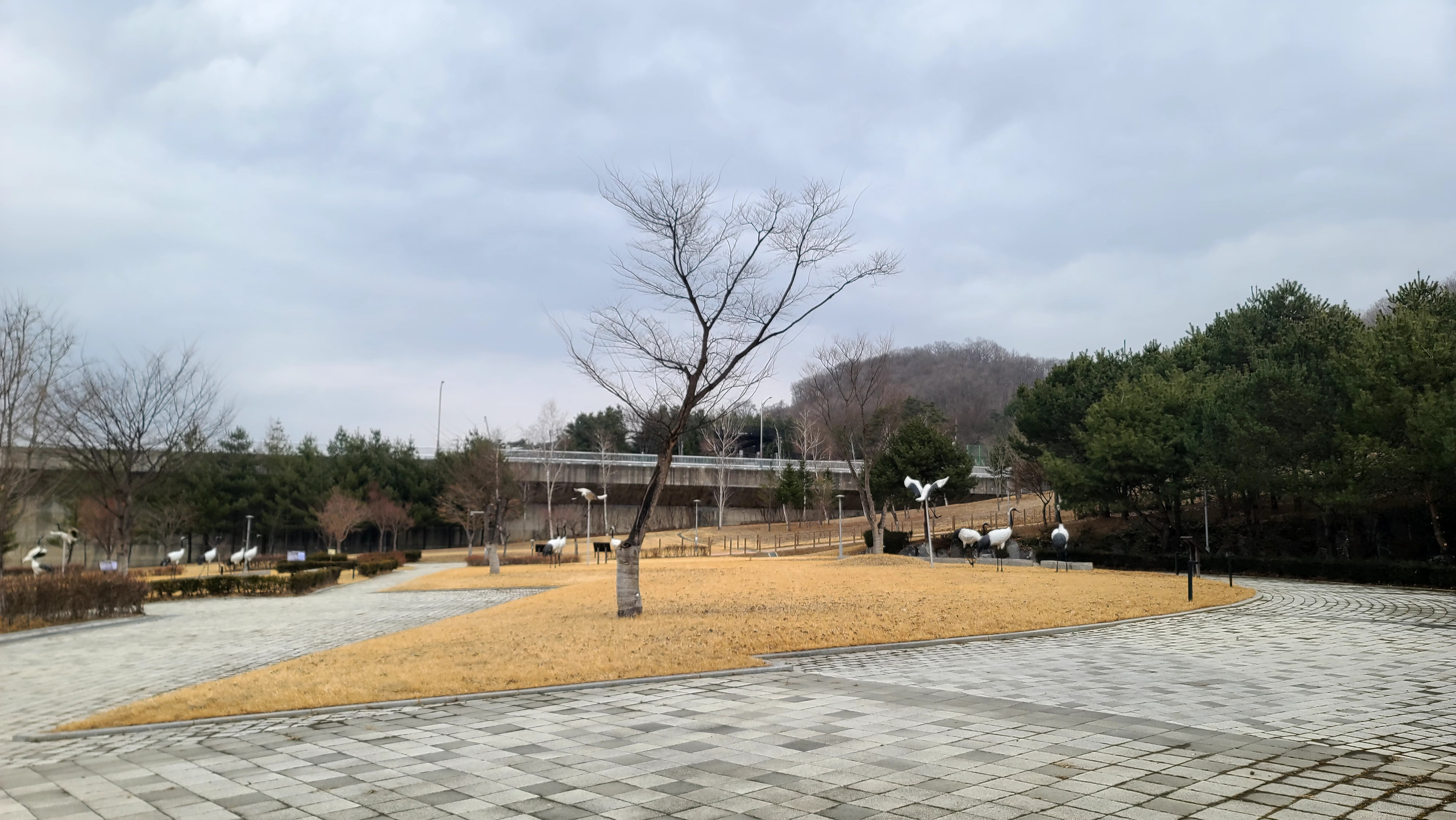 연천강 매운탕 이미지
