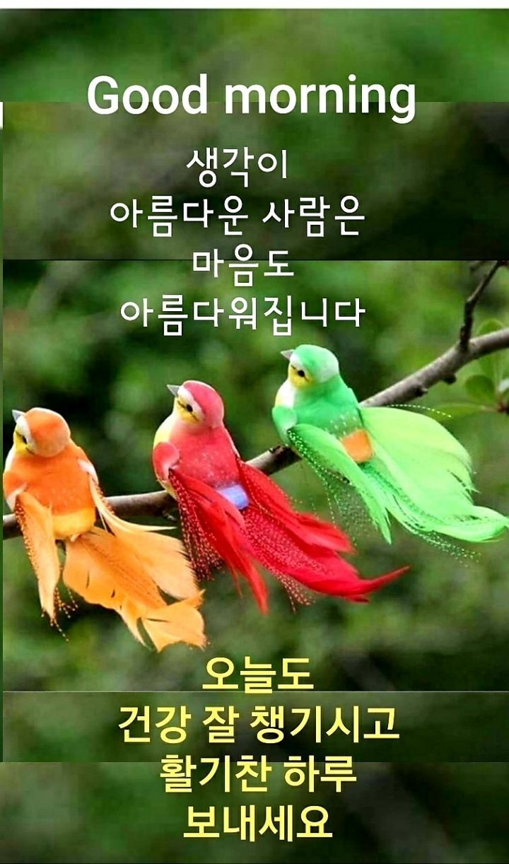 송연 이미지