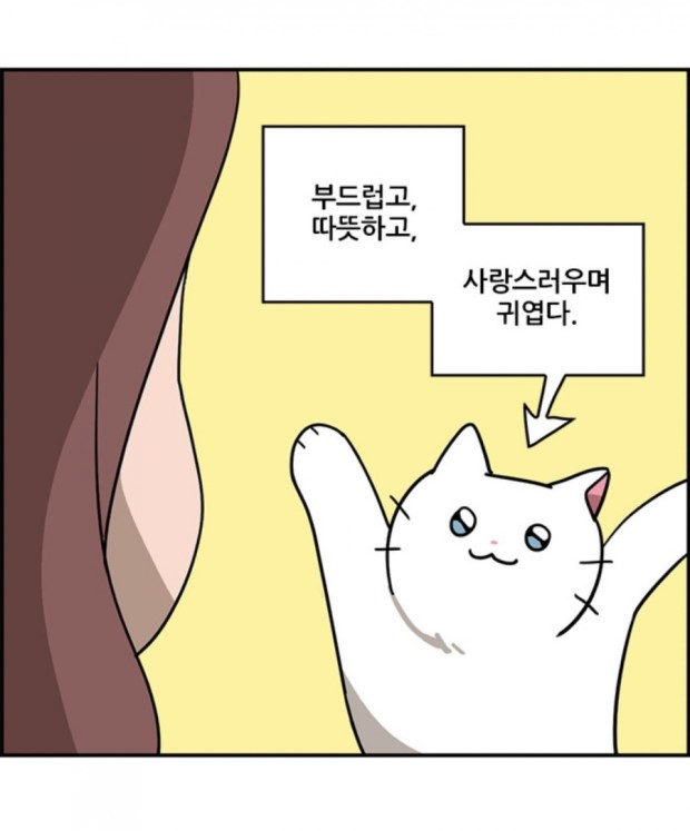 키오네 이미지