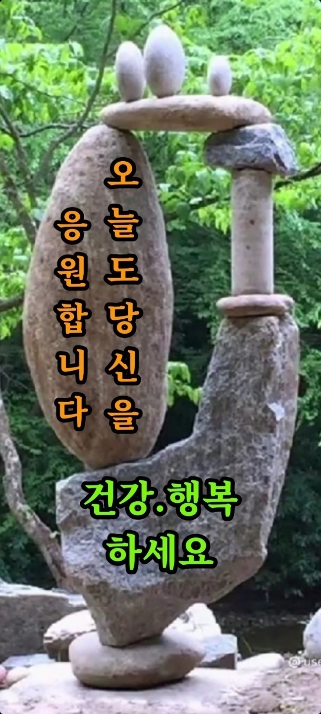 수다방 이미지
