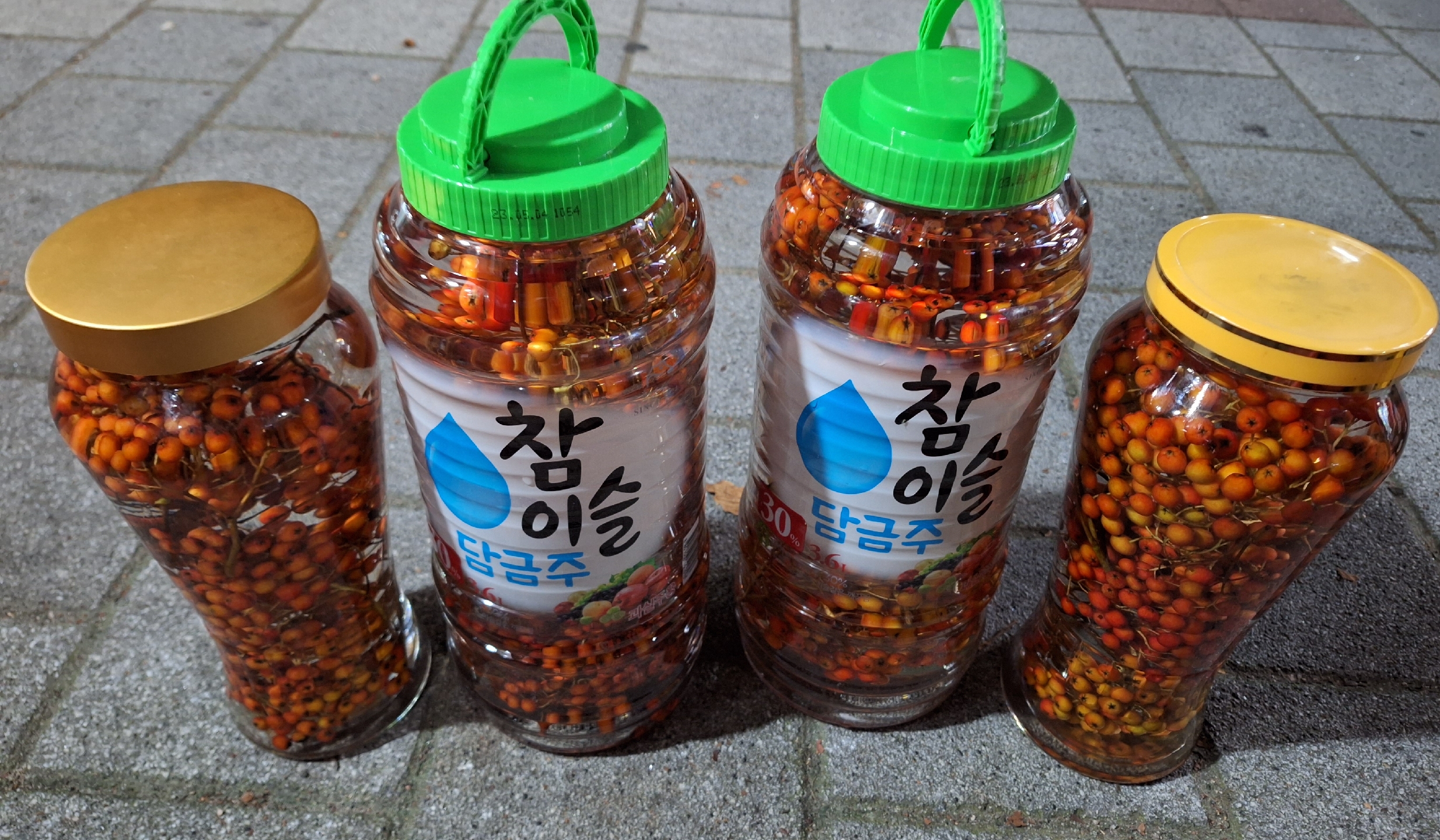 요기요거 이미지