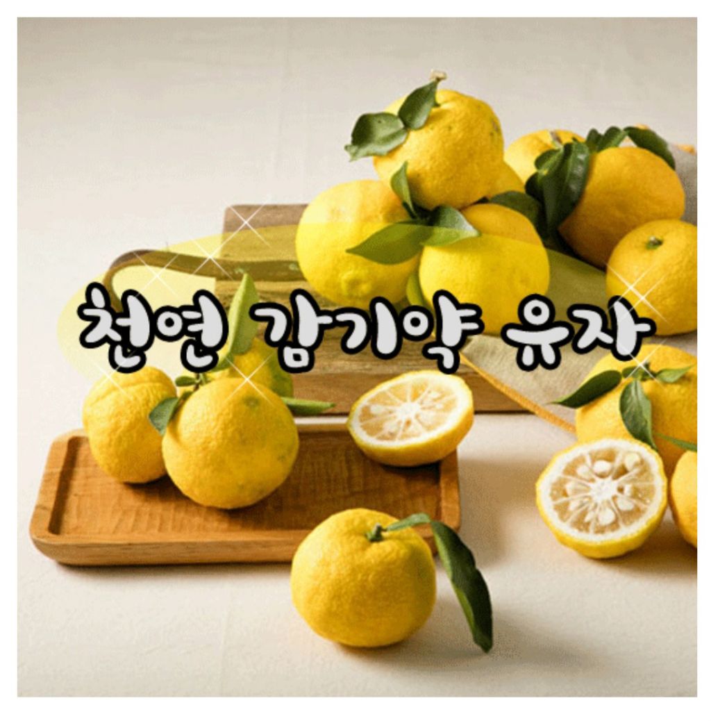 유자 이미지