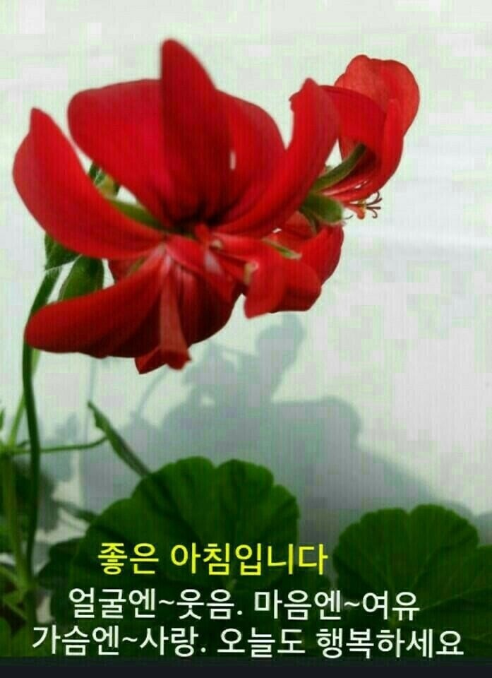 수다방 이미지