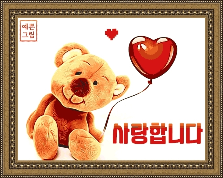 홍카 이미지