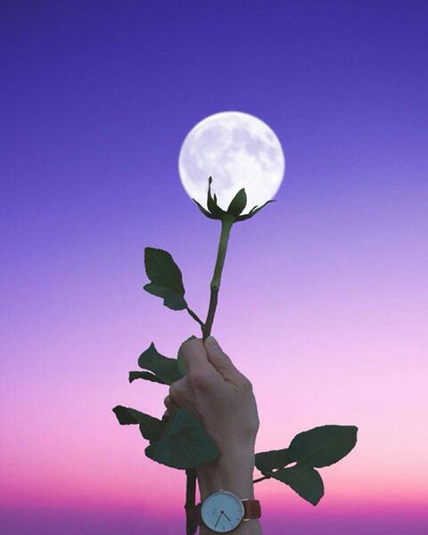 천보산 이미지
