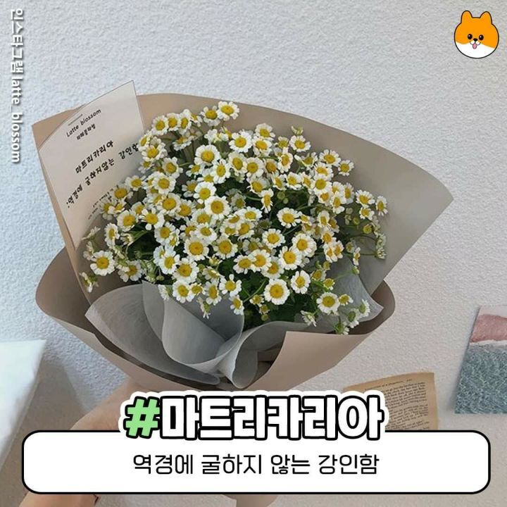 오늘도예쁜하루 이미지