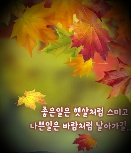 배불뚜기 이미지