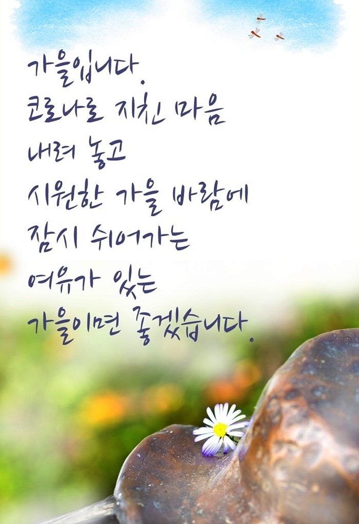 우짜꼬 이미지
