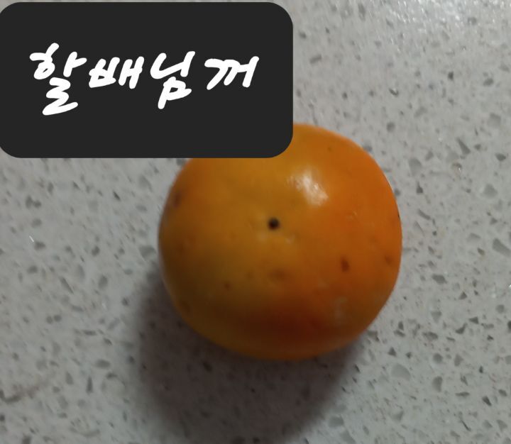 온띵 이미지