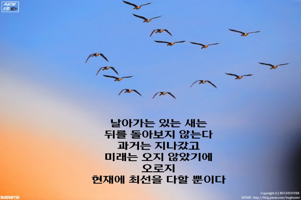 가온길 이미지
