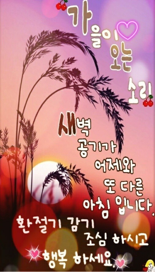 배불뚜기 이미지