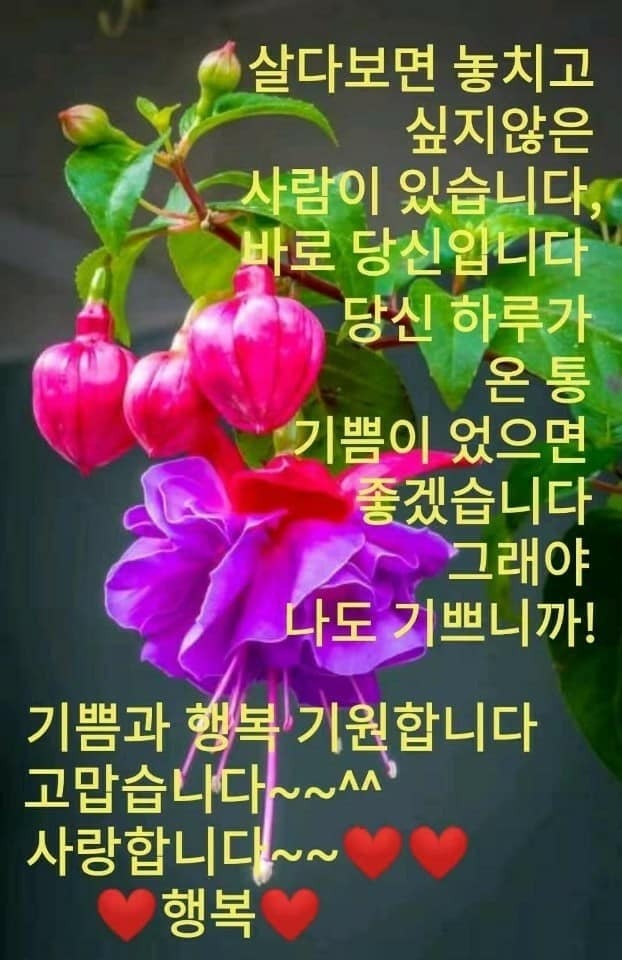 수다방 이미지