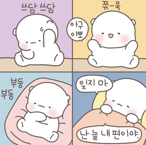 성원 이미지