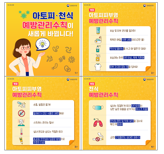 Daum 카페