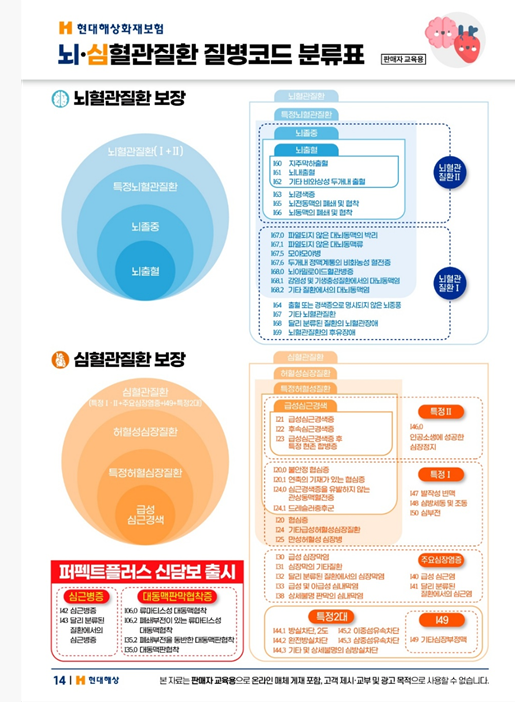 Daum 카페