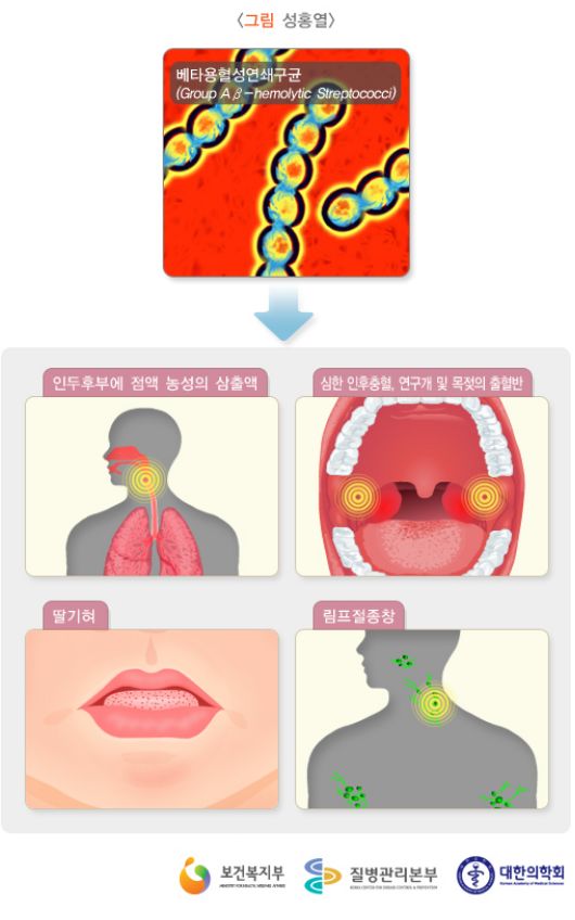 Daum 카페