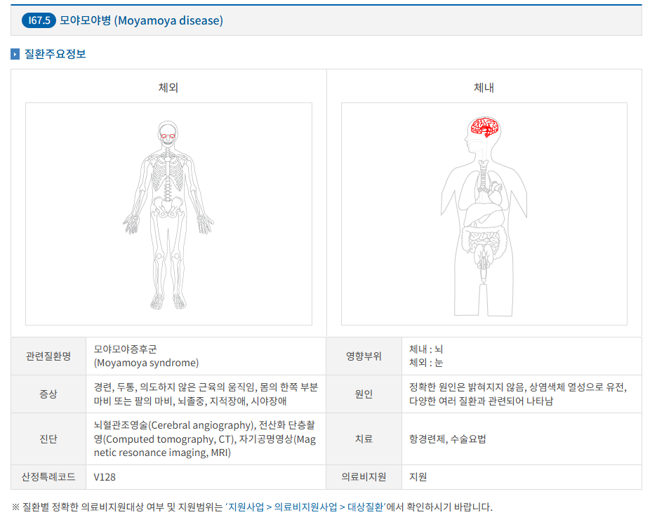 Daum 카페