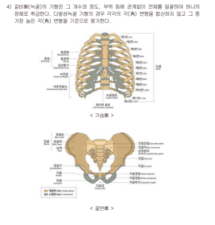 Daum 카페