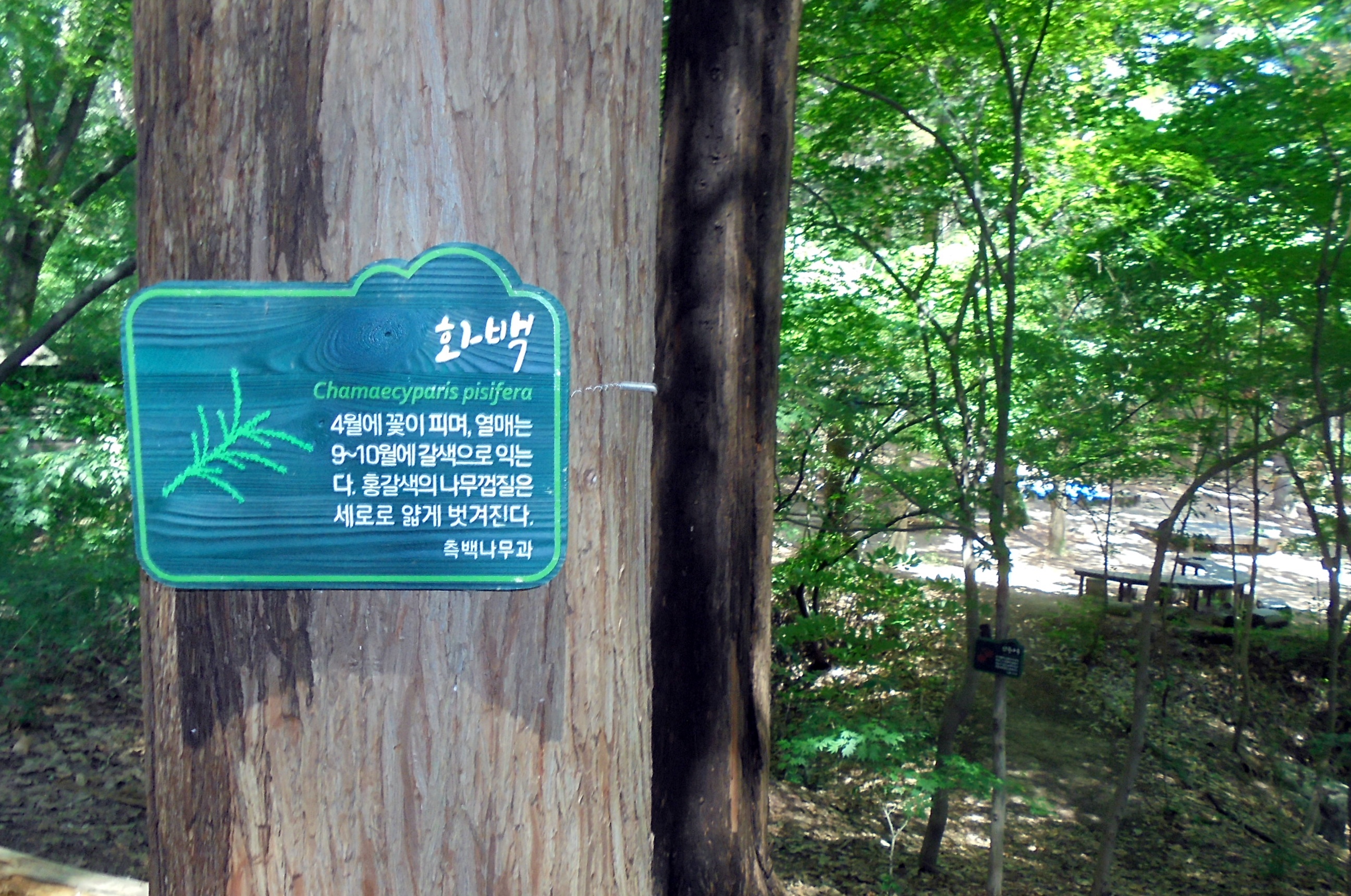 삼태기 이미지