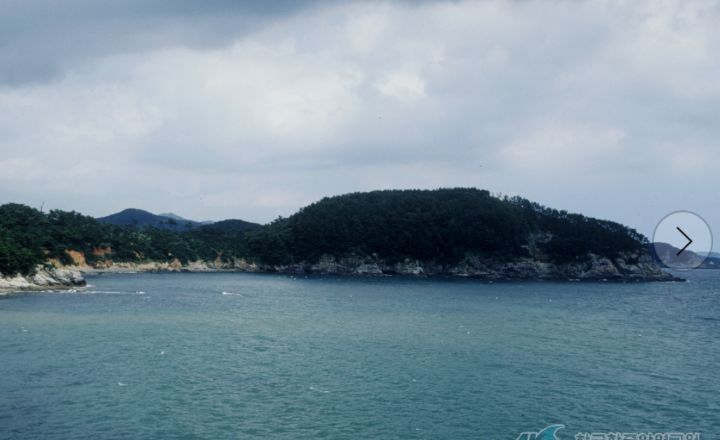 동강오리알 이미지
