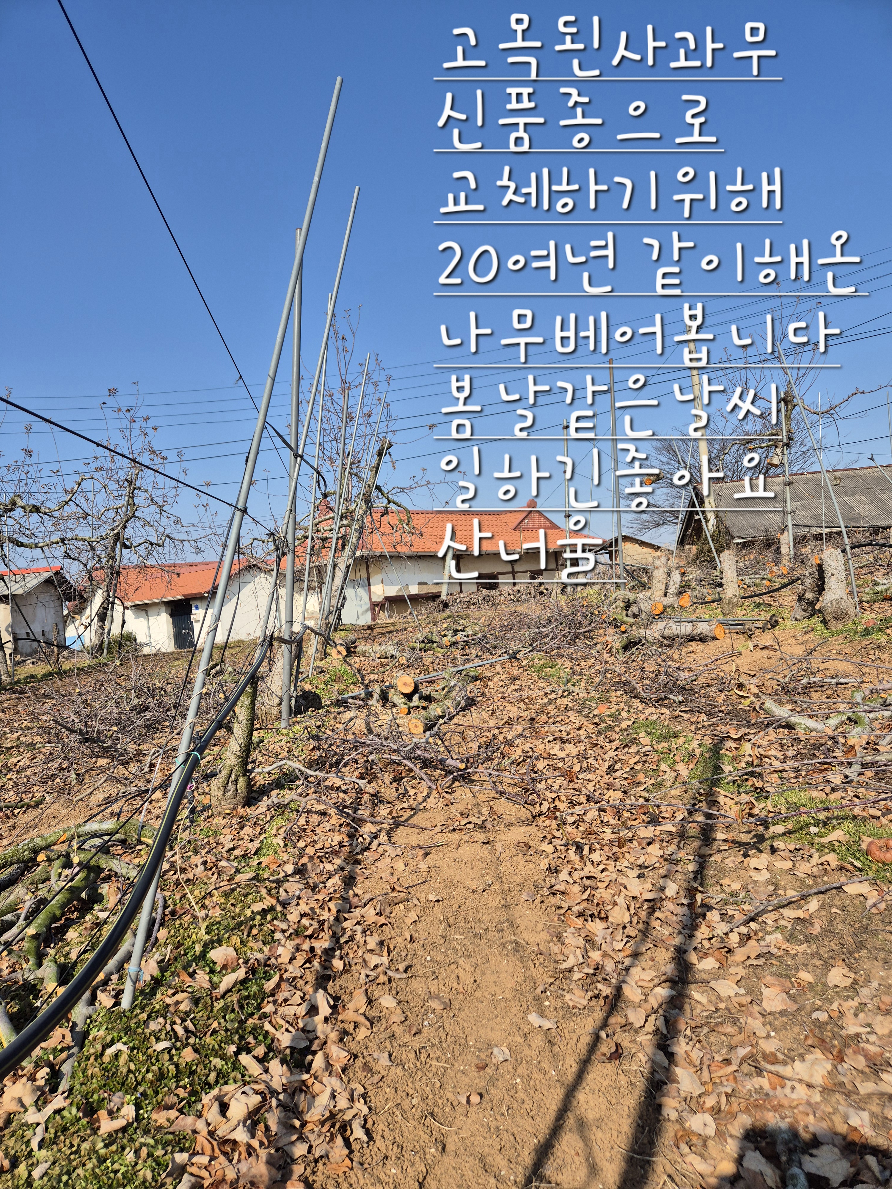 산너울농원 이미지