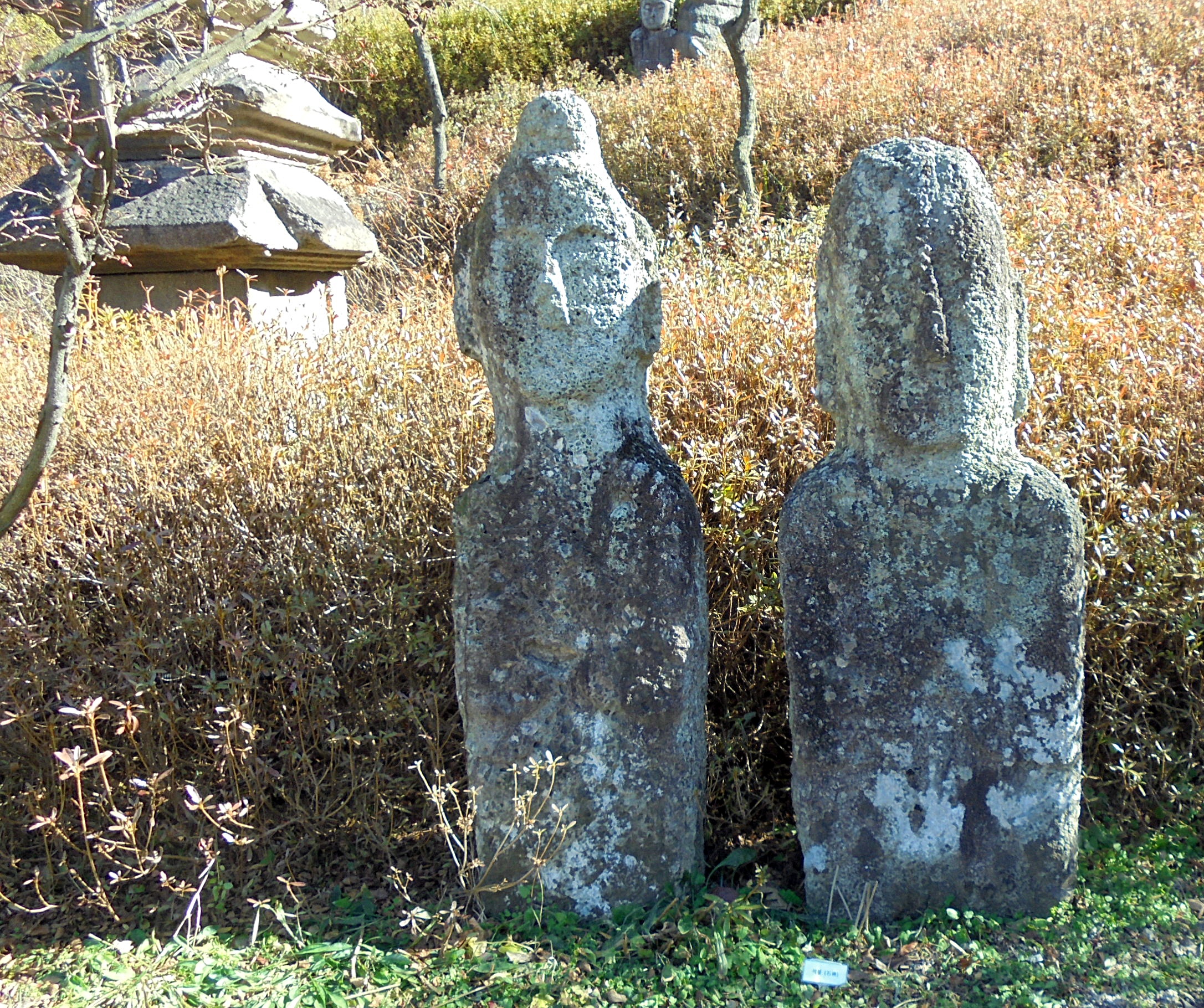 목인 이미지
