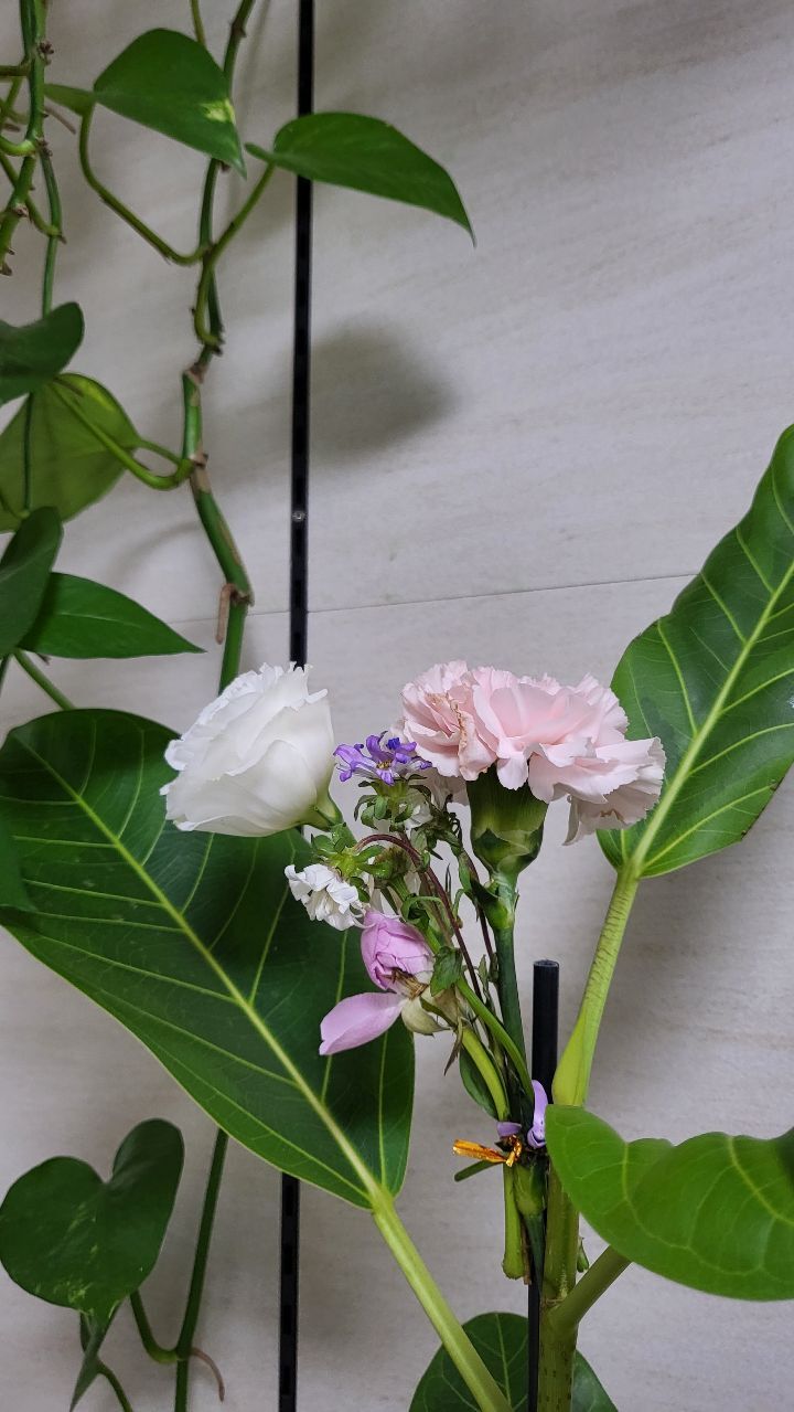 요래오래 이미지