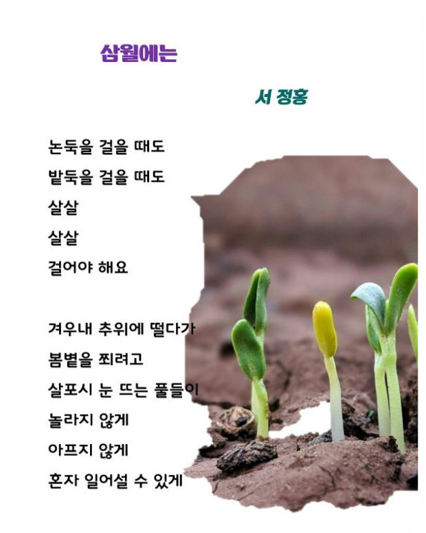 삼월 이미지