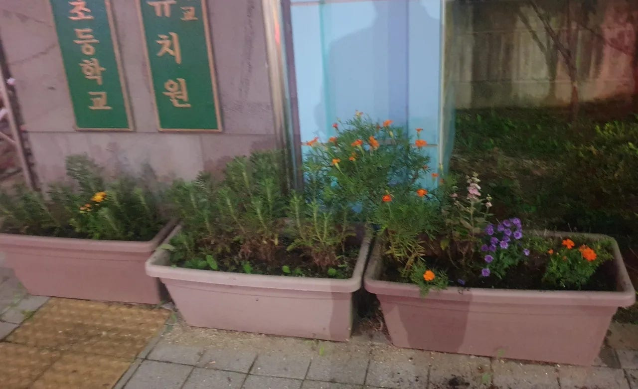 미목 이미지