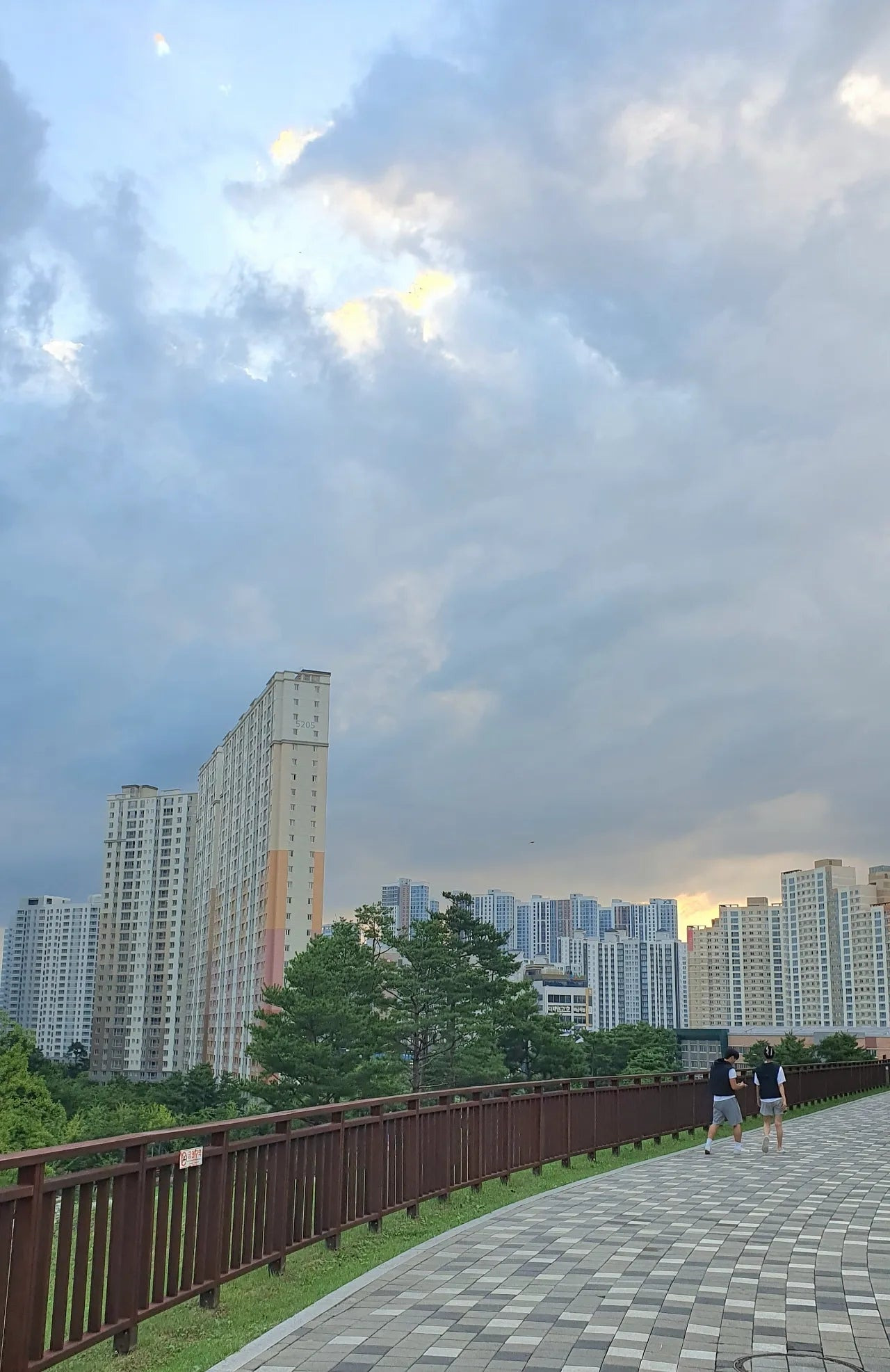 미목 이미지