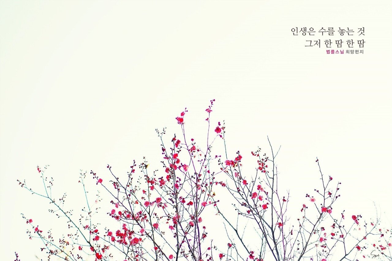 한땀한땀 이미지