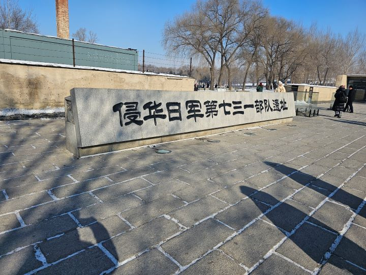 축제의땅 이미지