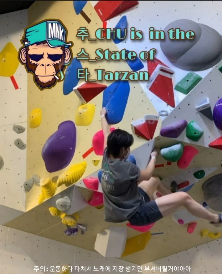 진하이 이미지
