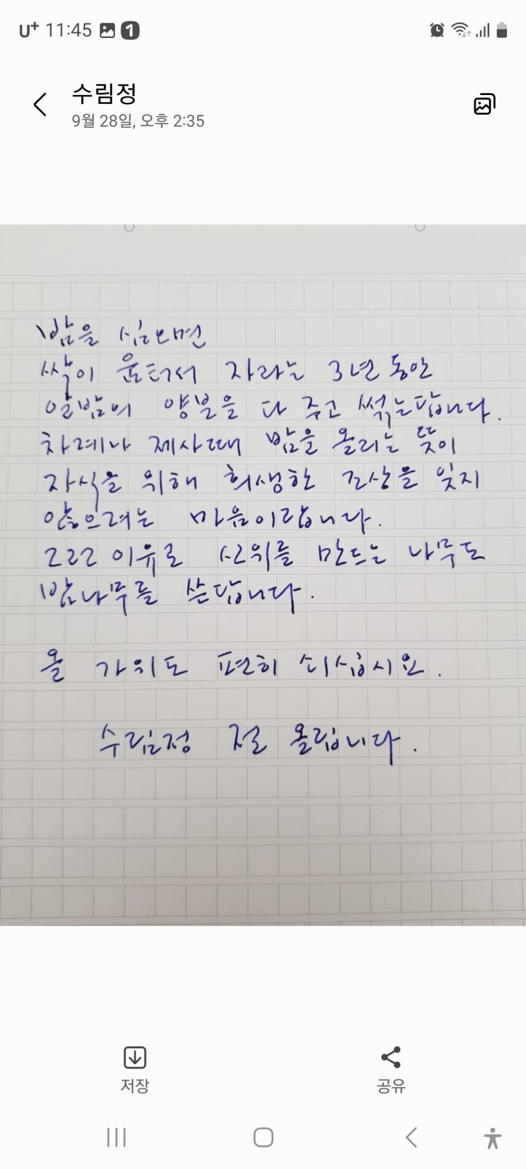 수림장 이미지
