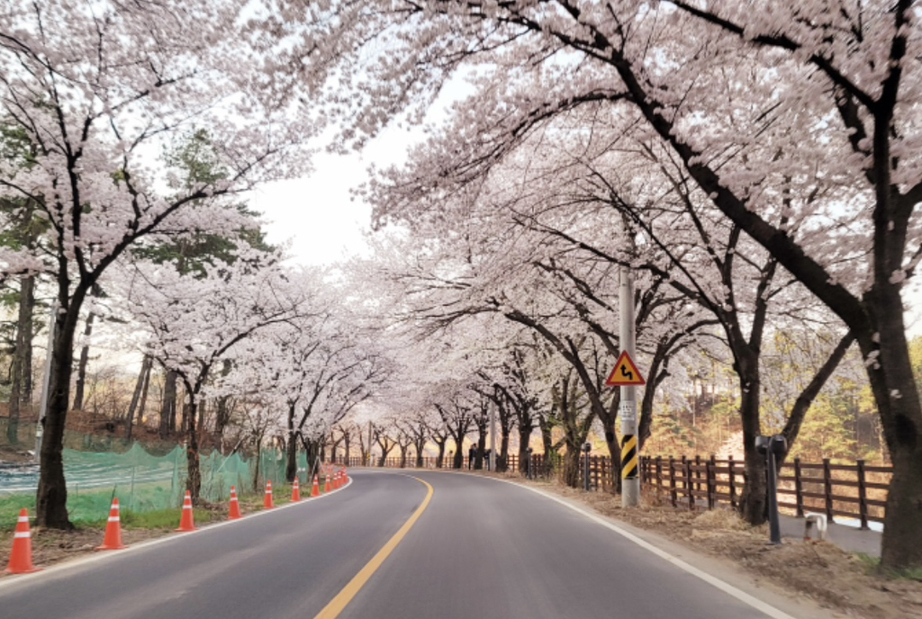 (주)보라투어 이미지