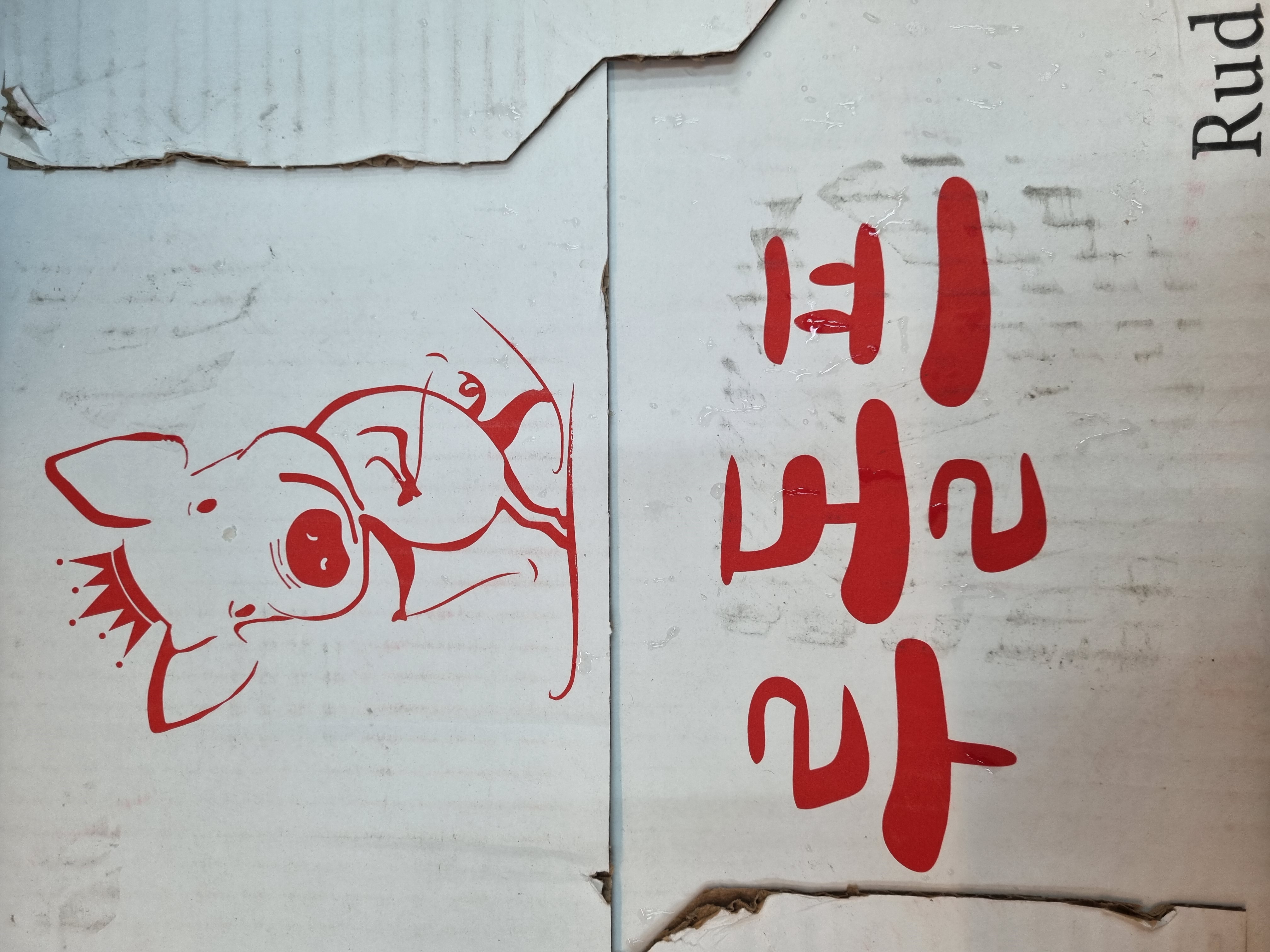 굿모닝해피데이 이미지