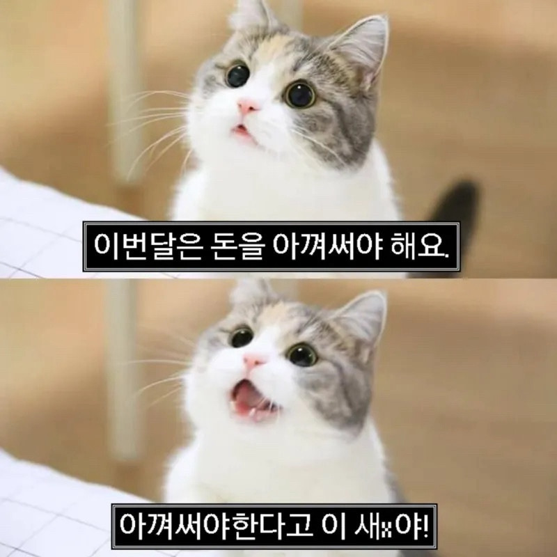 루 이미지
