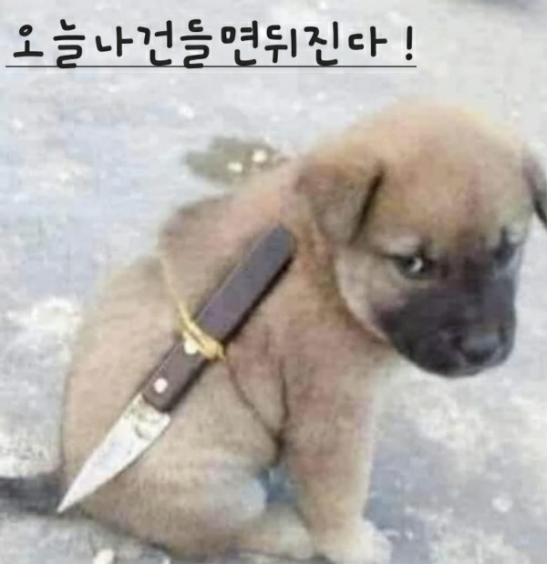 하누 이미지