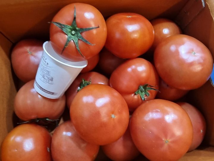 레드토마토 이미지