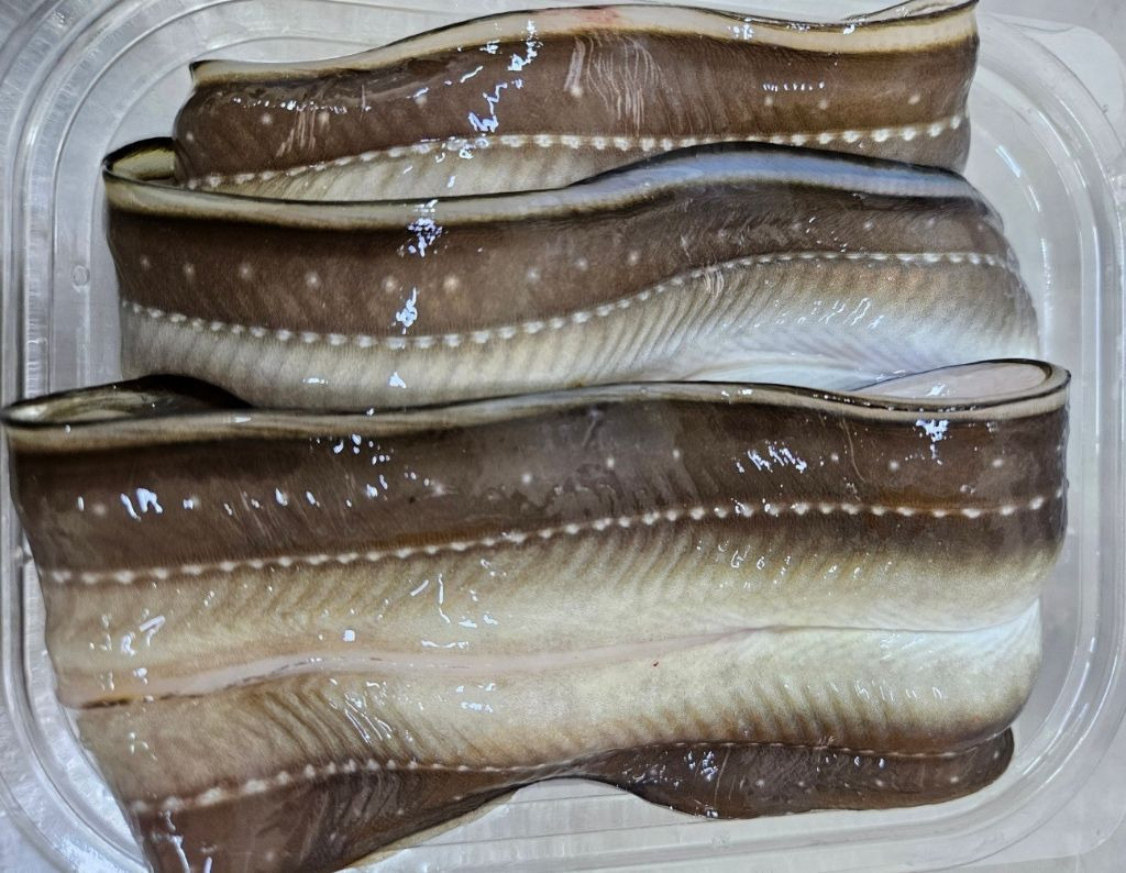 통영바다장어구이 이미지