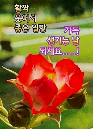 행복한아침 이미지