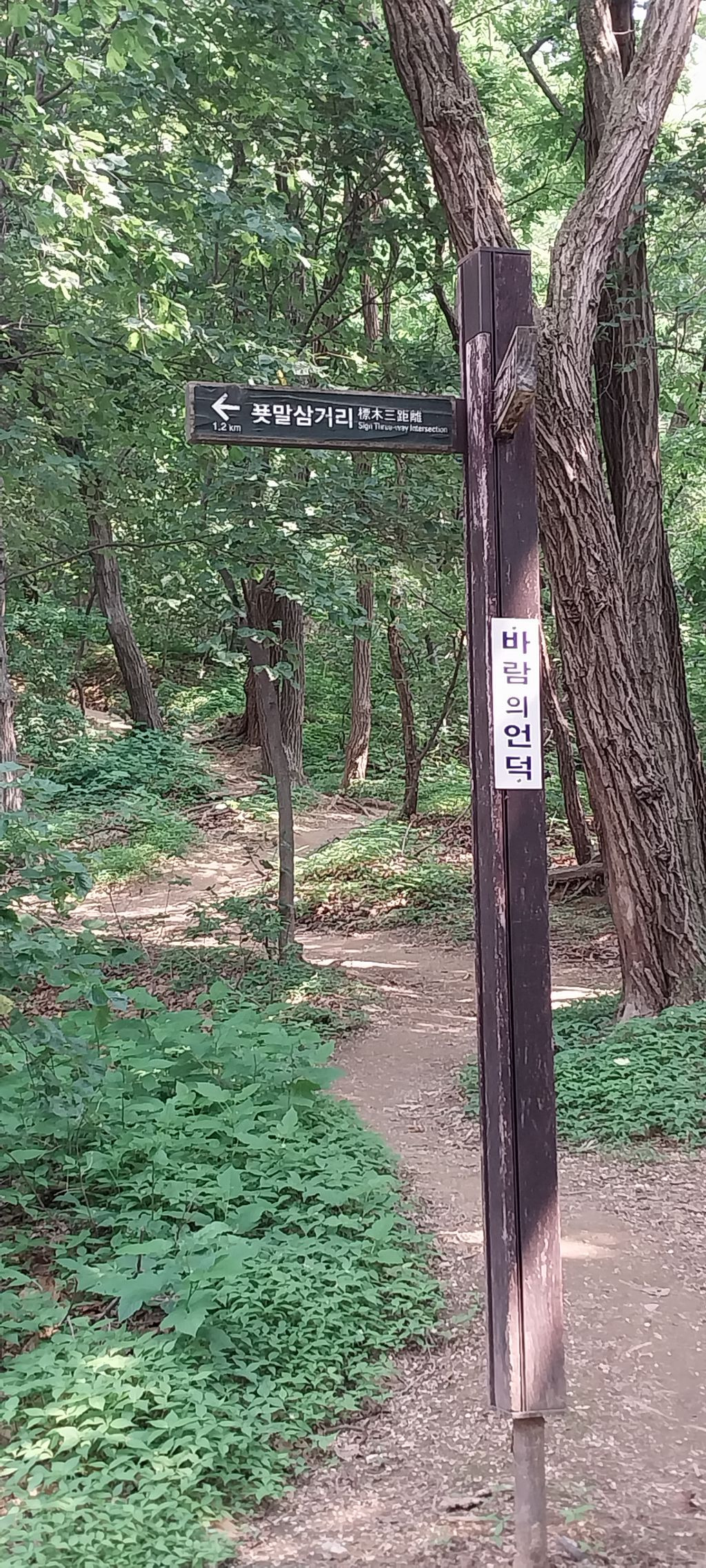 고갯마루쉼터 이미지