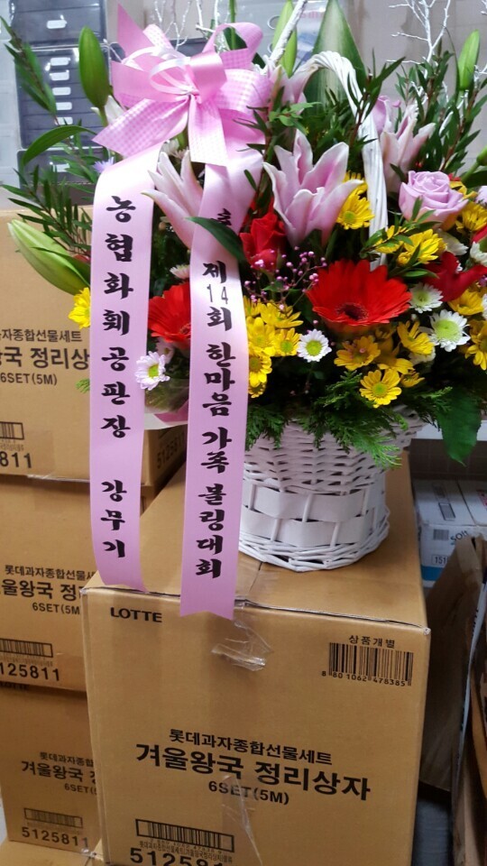 울산광역시볼링협회 이미지