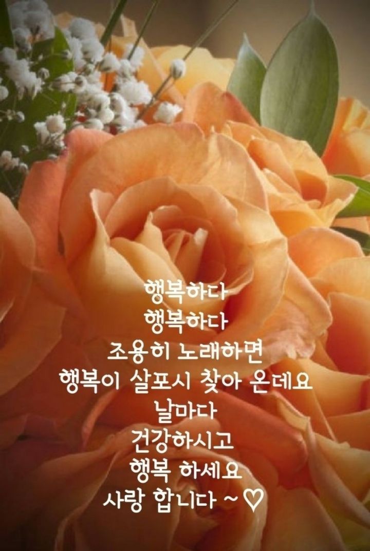 행복한날 이미지