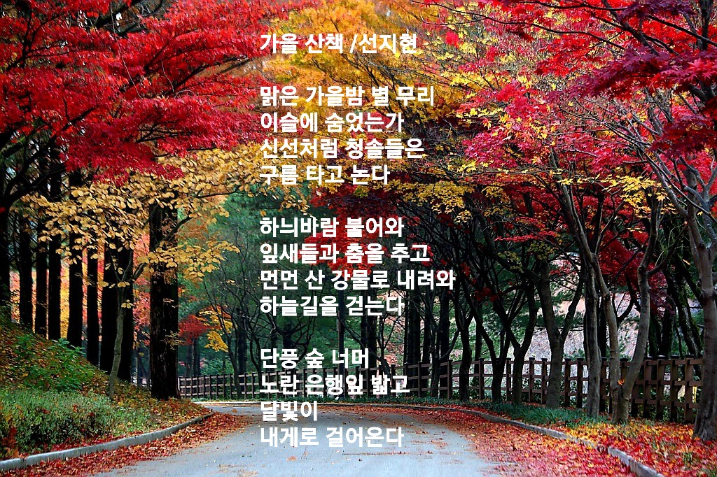 가을 산책 - 선지현 - 시화방(Photo&Poem) - 아름다운노래교실 가을 산책 - 선지현