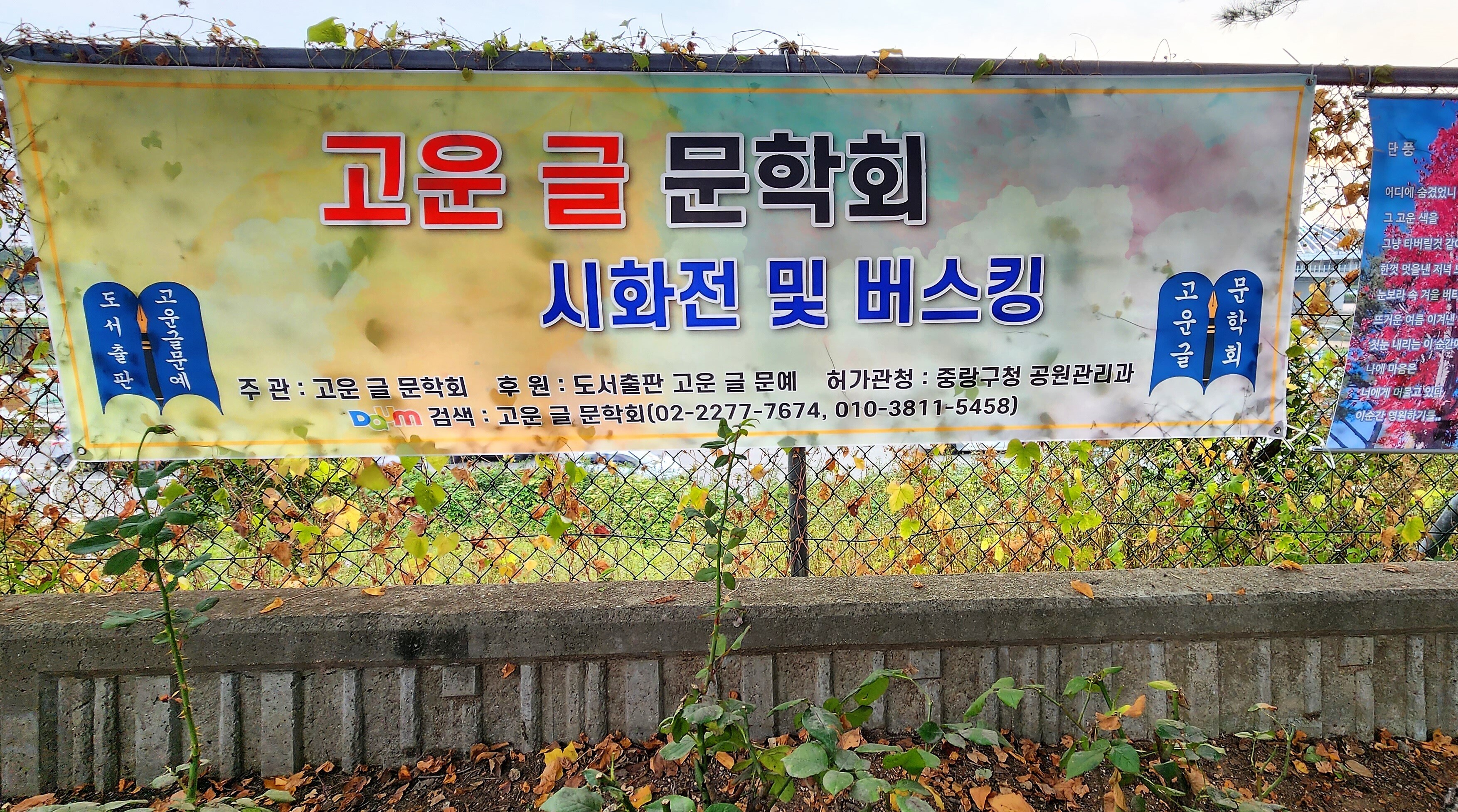 칼라디자인 이미지